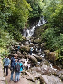 Изумрудный лес