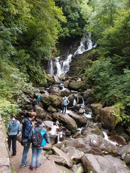 Изумрудный лес