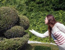 Топиер, топи-арт, "топиаримся"