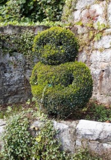 Топиер, топи-арт, "топиаримся"