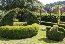 Топиер, топи-арт, "топиаримся"