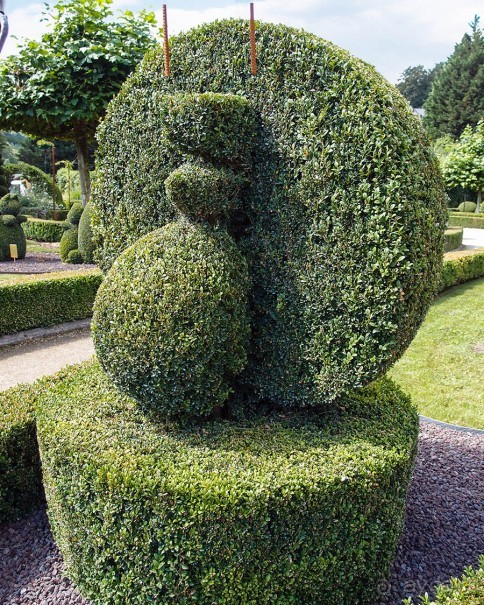 Топиер, топи-арт, "топиаримся"