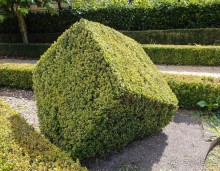 Топиер, топи-арт, "топиаримся"