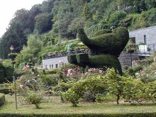 Топиер, топи-арт, "топиаримся"