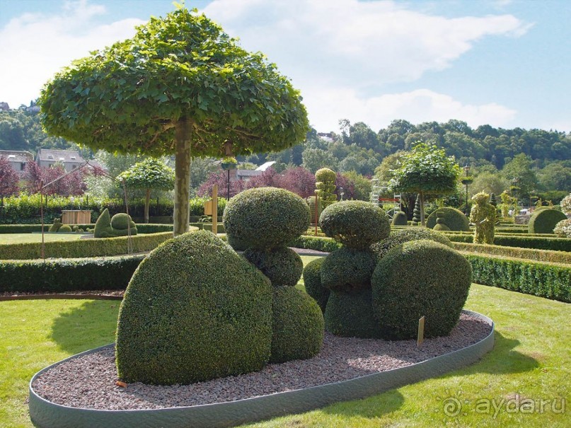 Топиер, топи-арт, "топиаримся"