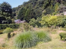 Топиер, топи-арт, "топиаримся"