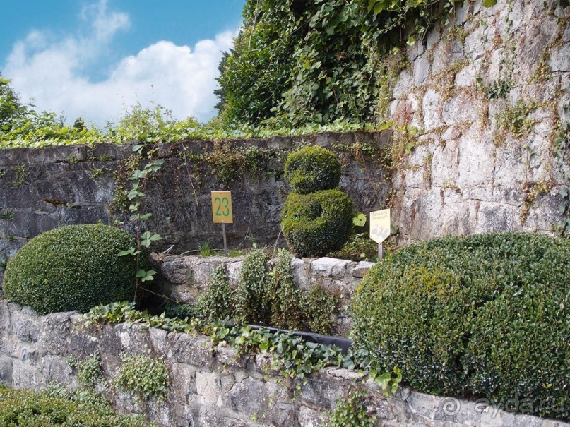 Топиер, топи-арт, "топиаримся"