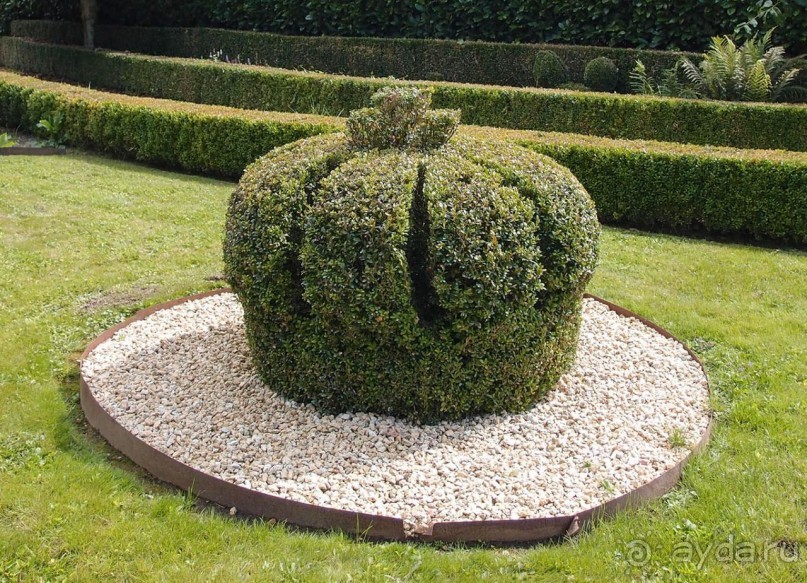 Топиер, топи-арт, "топиаримся"