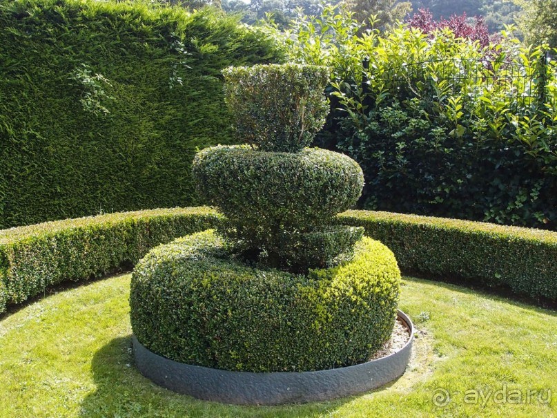 Топиер, топи-арт, "топиаримся"