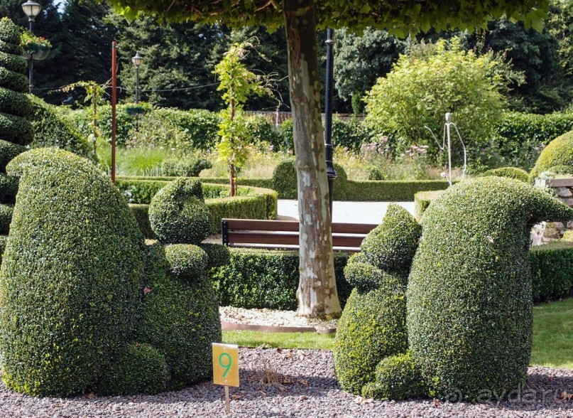 Топиер, топи-арт, "топиаримся"