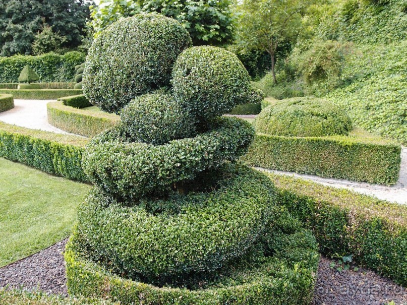 Топиер, топи-арт, "топиаримся"