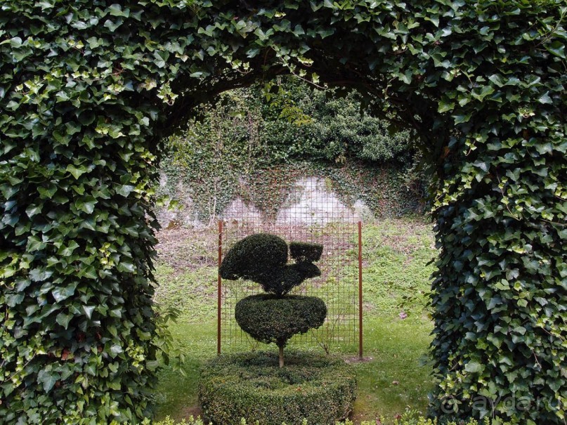 Топиер, топи-арт, "топиаримся"