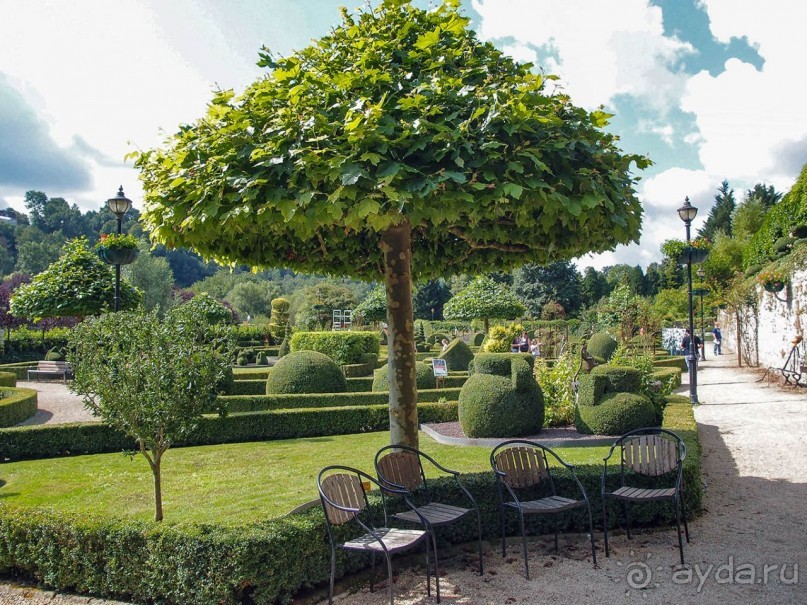 Топиер, топи-арт, "топиаримся"