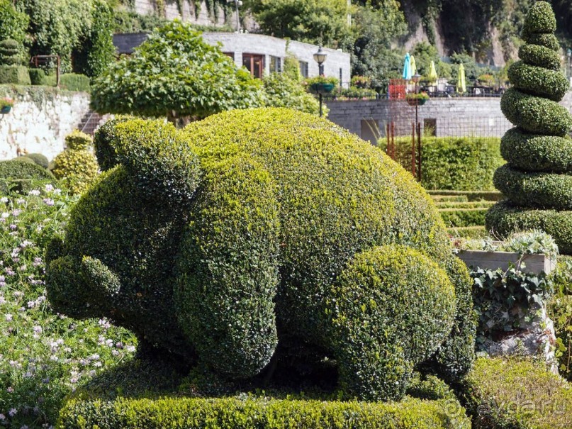 Топиер, топи-арт, "топиаримся"