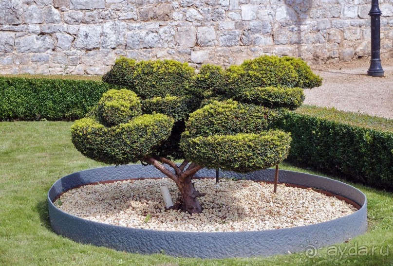 Топиер, топи-арт, "топиаримся"