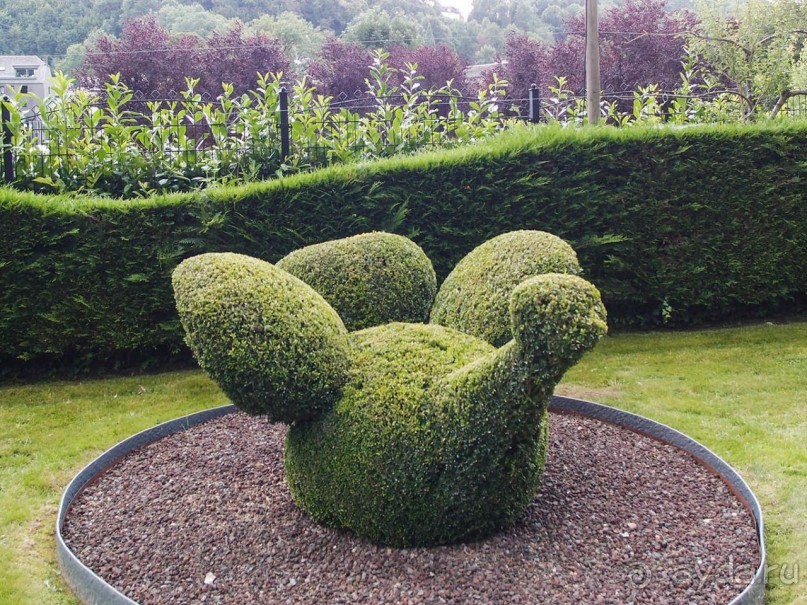 Топиер, топи-арт, "топиаримся"