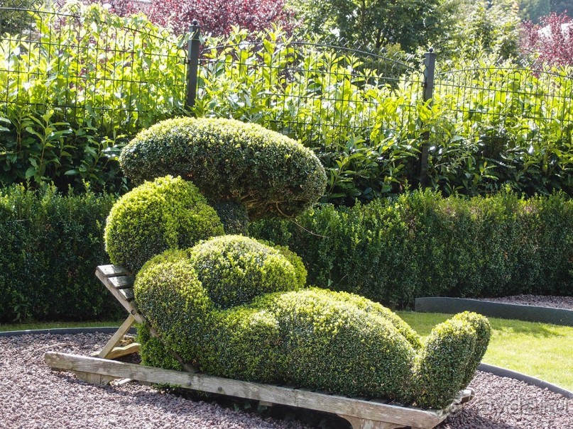 Топиер, топи-арт, "топиаримся"