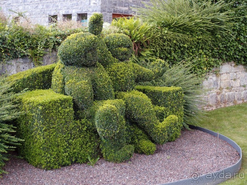 Топиер, топи-арт, "топиаримся"