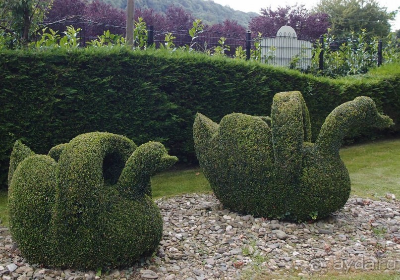 Топиер, топи-арт, "топиаримся"