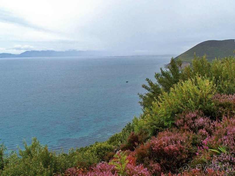 Калейдоскоп зелёного Кольца