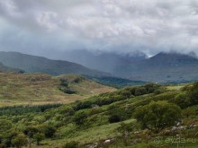 Калейдоскоп зелёного Кольца