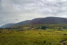 Калейдоскоп зелёного Кольца