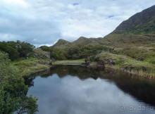 Калейдоскоп зелёного Кольца
