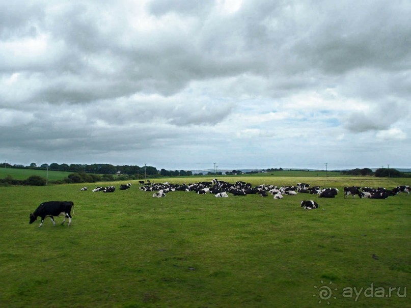 фото Килларни