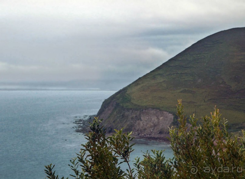 Калейдоскоп зелёного Кольца