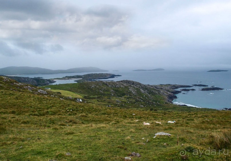 Калейдоскоп зелёного Кольца