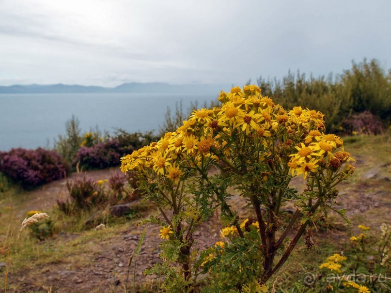 Калейдоскоп зелёного Кольца