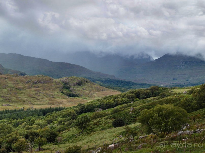 Калейдоскоп зелёного Кольца