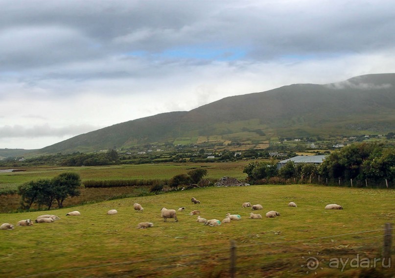 Калейдоскоп зелёного Кольца