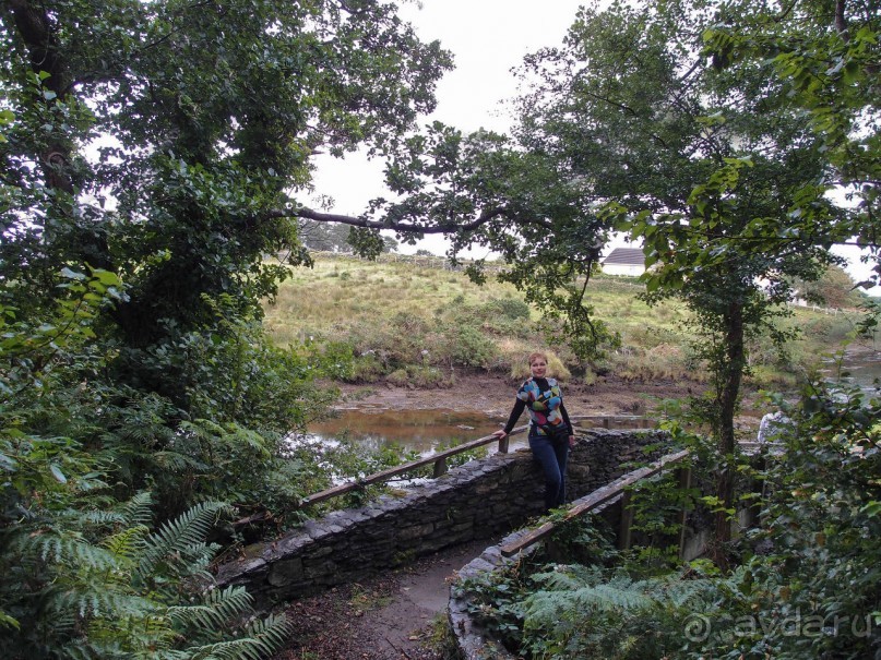 Калейдоскоп зелёного Кольца