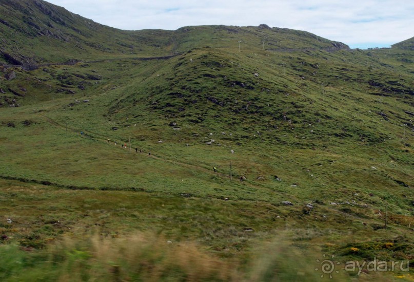 Калейдоскоп зелёного Кольца