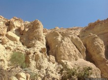 Оазис Эйн Геди (ч.3) Источник Козленка