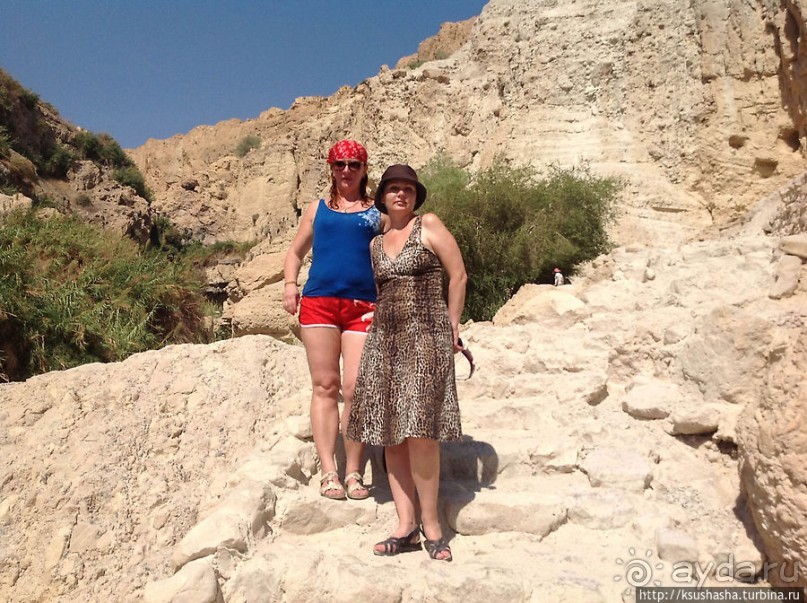 Оазис Эйн Геди (ч.3) Источник Козленка