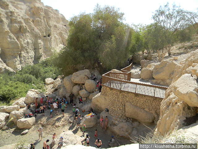 Оазис Эйн Геди (ч.3) Источник Козленка