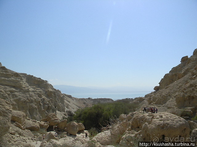 Оазис Эйн Геди (ч.3) Источник Козленка
