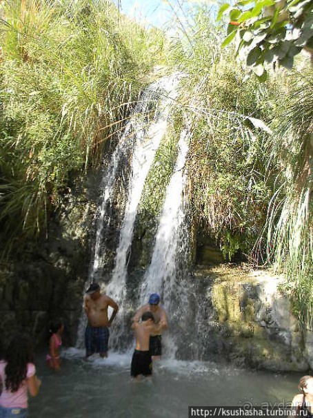 Оазис Эйн Геди (ч.3) Источник Козленка