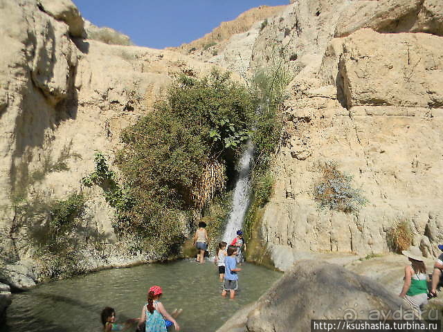 Оазис Эйн Геди (ч.3) Источник Козленка