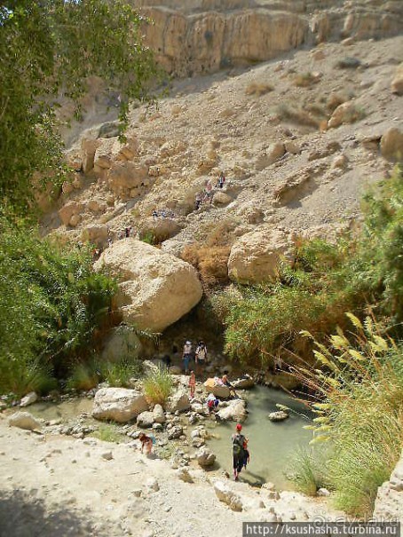 Оазис Эйн Геди (ч.3) Источник Козленка