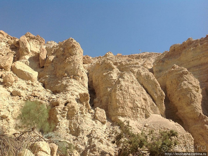 Оазис Эйн Геди (ч.3) Источник Козленка