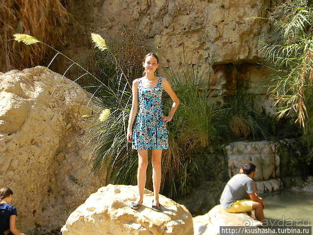 Оазис Эйн Геди (ч.3) Источник Козленка