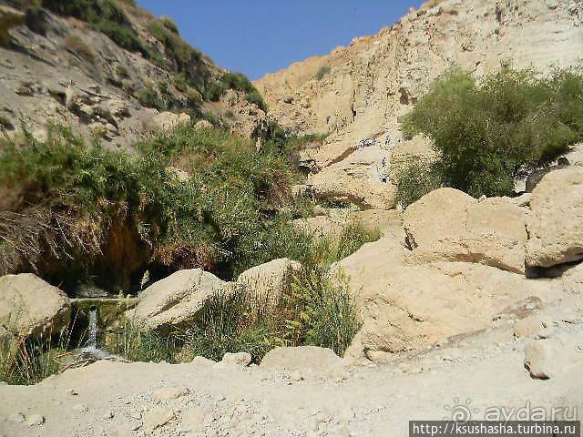 Оазис Эйн Геди (ч.3) Источник Козленка