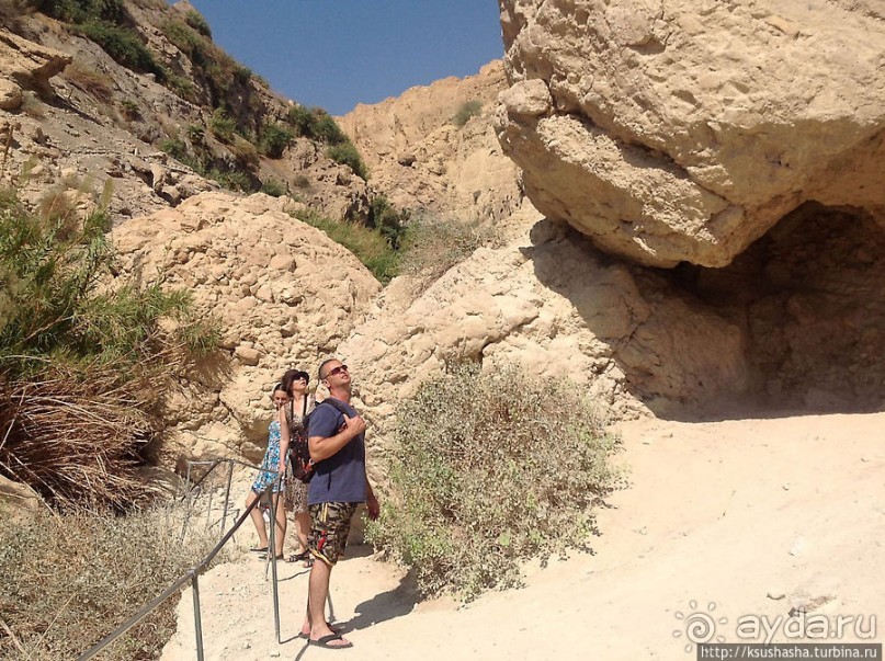 Оазис Эйн Геди (ч.3) Источник Козленка