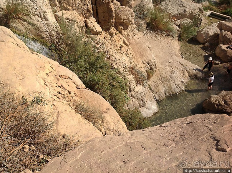 Оазис Эйн Геди (ч.3) Источник Козленка