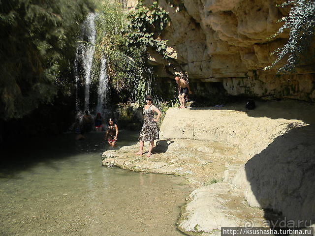 Оазис Эйн Геди (ч.3) Источник Козленка