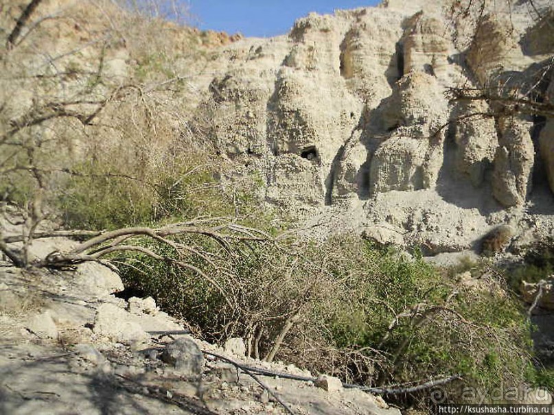 Оазис Эйн Геди (ч.3) Источник Козленка