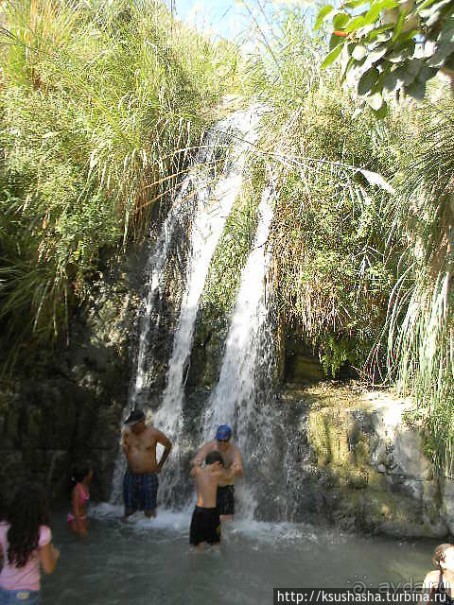 Оазис Эйн Геди (ч.3) Источник Козленка